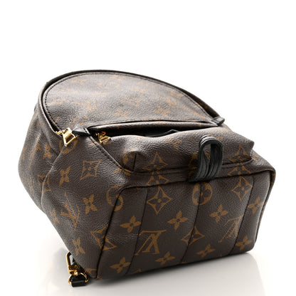 Louis Vuitton Monogram Palm Springs Backpack Mini 4 of 12