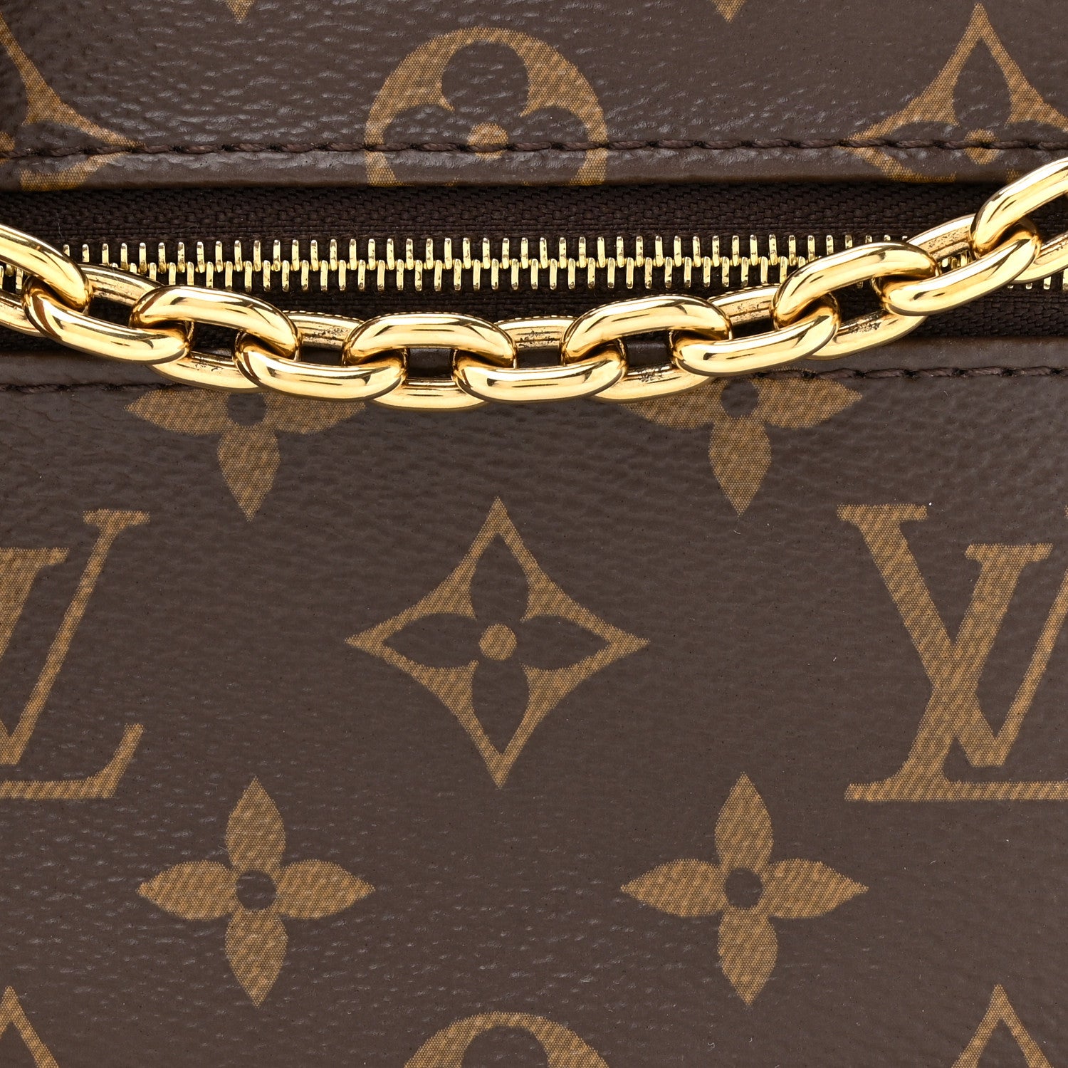 Louis Vuitton Monogram Loop 7 of 16