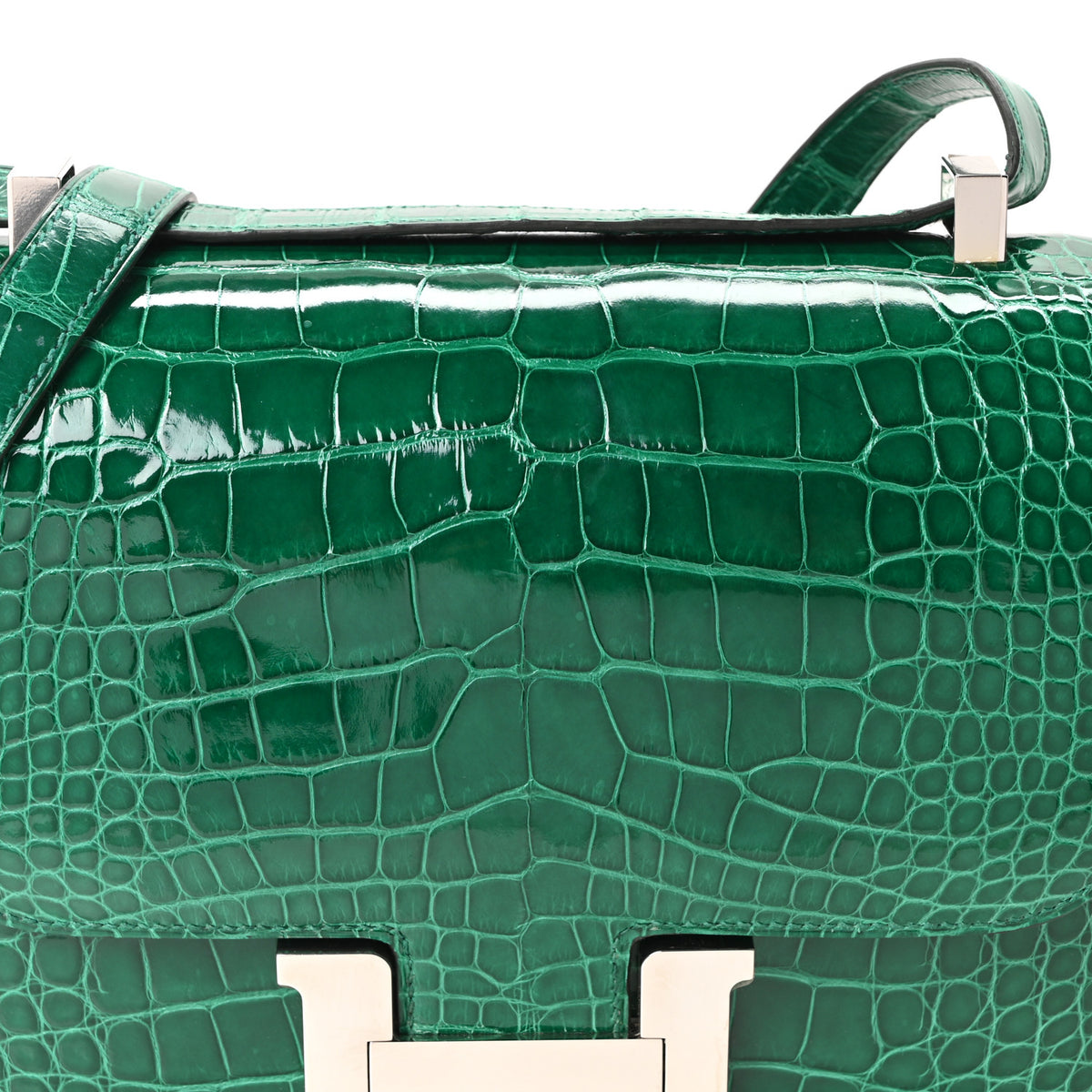 Shiny Alligator Constance 24 Vert Emeraude