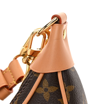 Louis Vuitton Monogram Loop 10 of 10