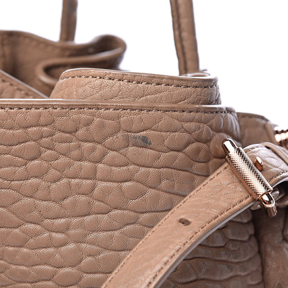 Alexander Wang Pebbled Lambskin Diego Bucket Bag Latte 10 of 17