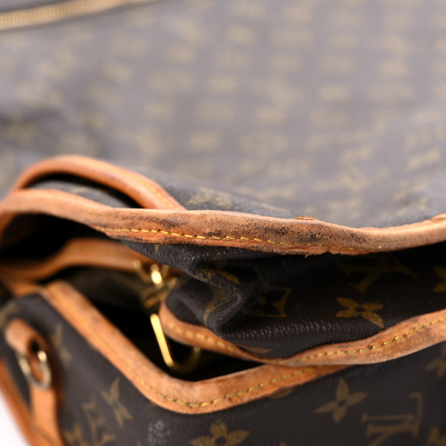 Monogram Garment Bag