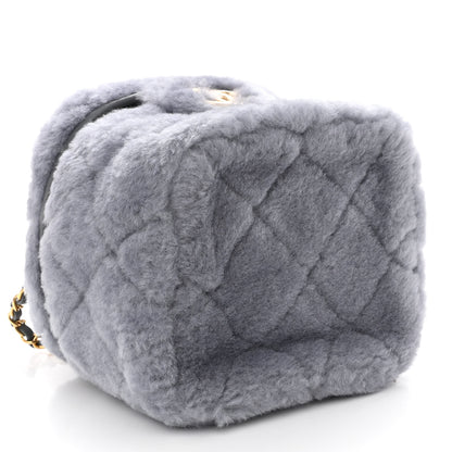 Chanel Shearling Lambskin Quilted Small Vanity Case Grey 4 of 10