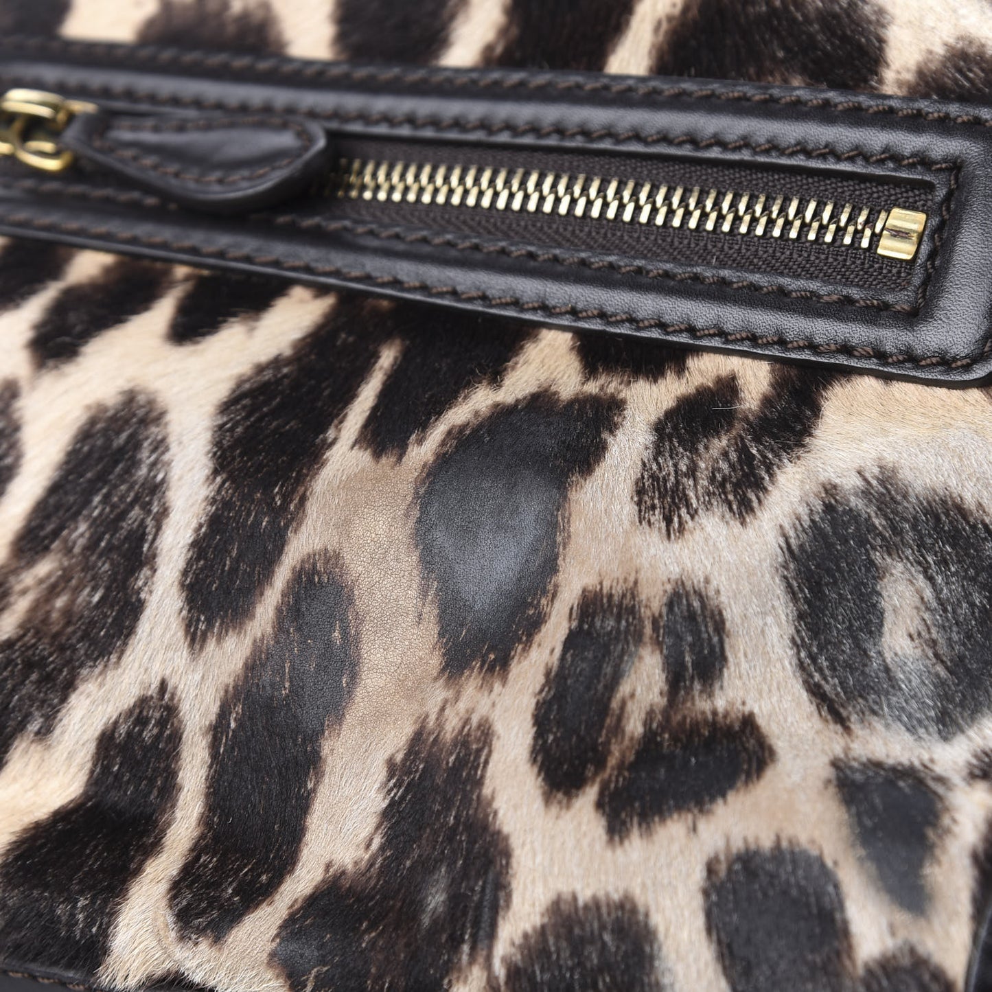 Leopard Pony Hair Mini Luggage Brown