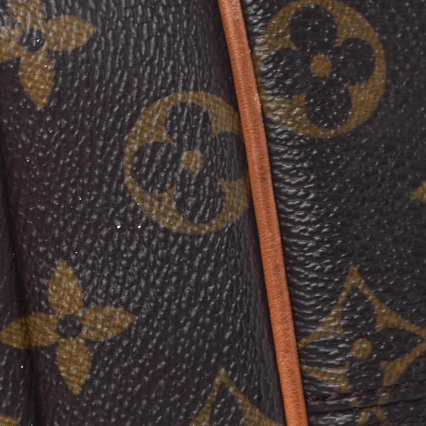 Monogram Totally MM