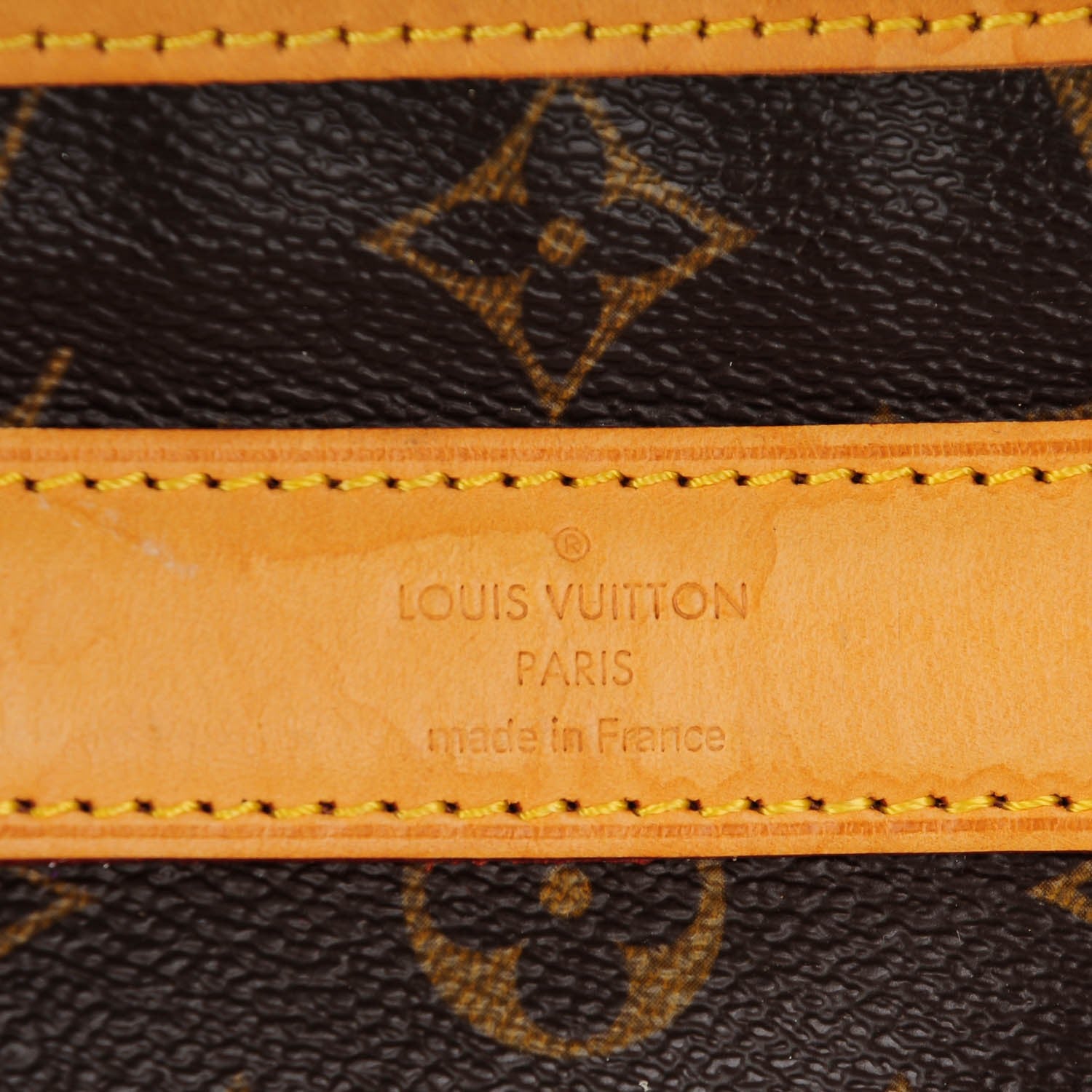 Louis Vuitton Monogram Sac Chien 50 Pet Carrier 8 of 15