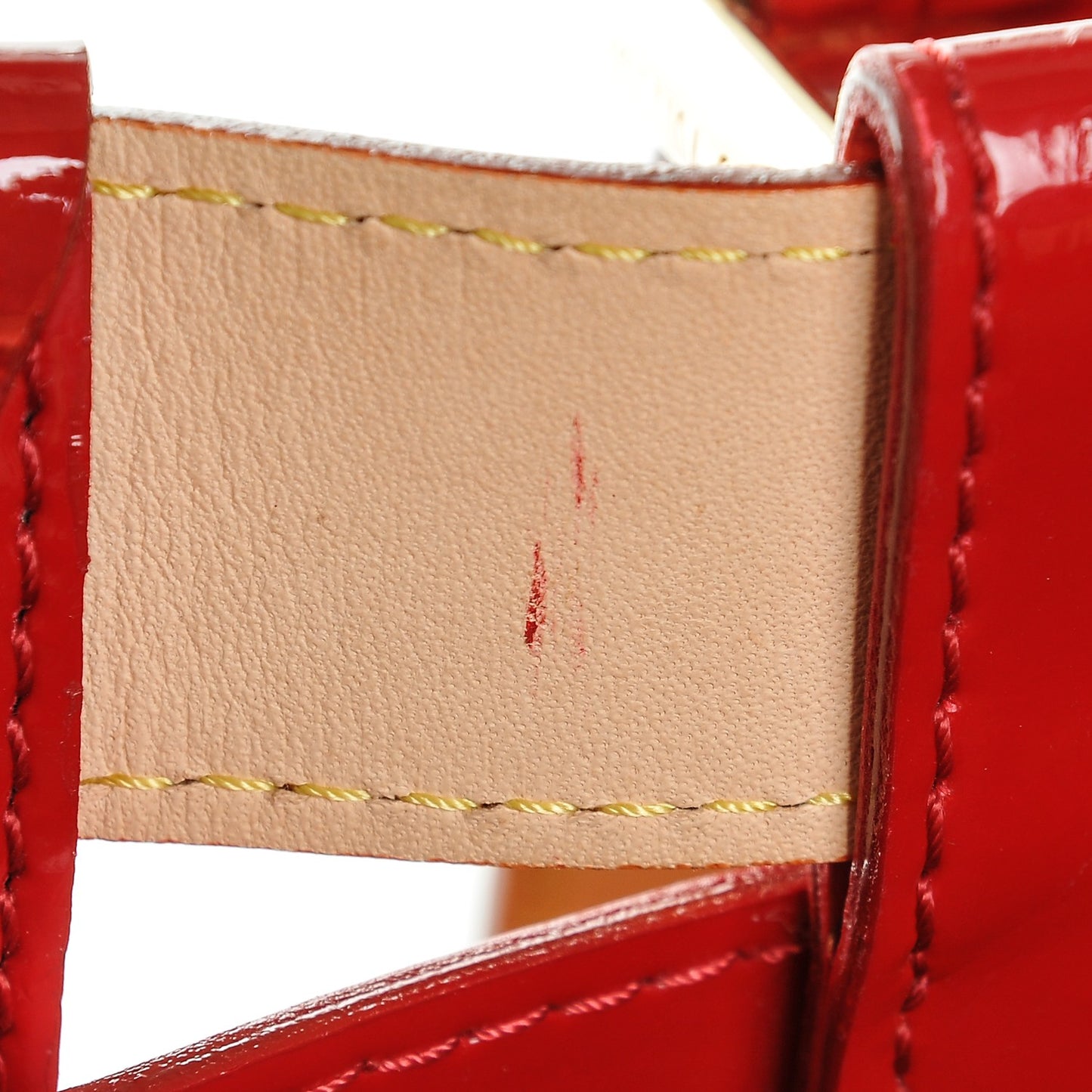 Monogram Salina GM Rubis