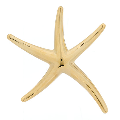 Tiffany 18K Yellow Gold Large Elsa Peretti Starfish Pendant 1 of 4