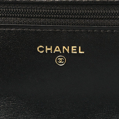 Chanel Goatskin Quilted Chanel 19 Wallet On Chain WOC Black 6 of 10