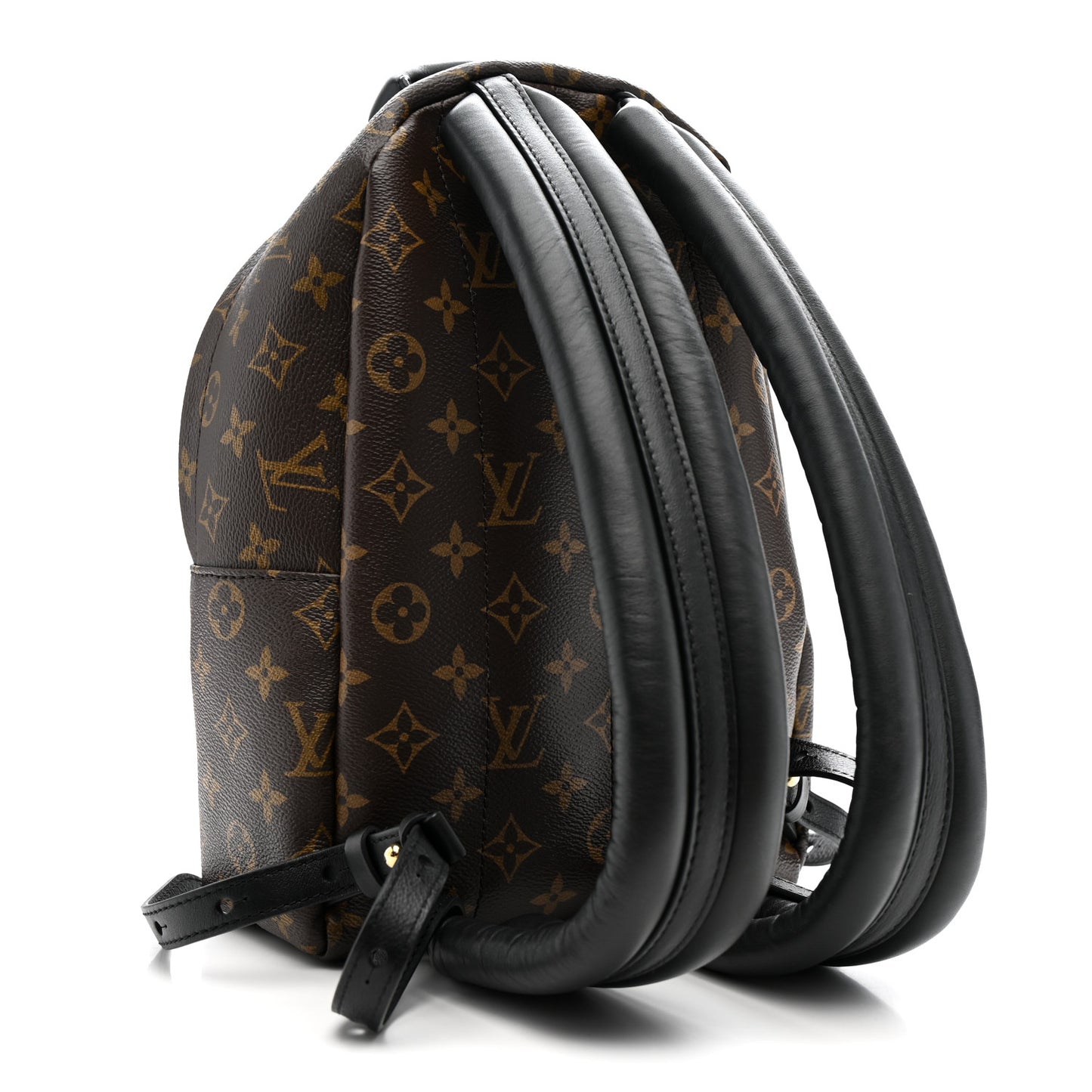Monogram Palm Springs Backpack PM