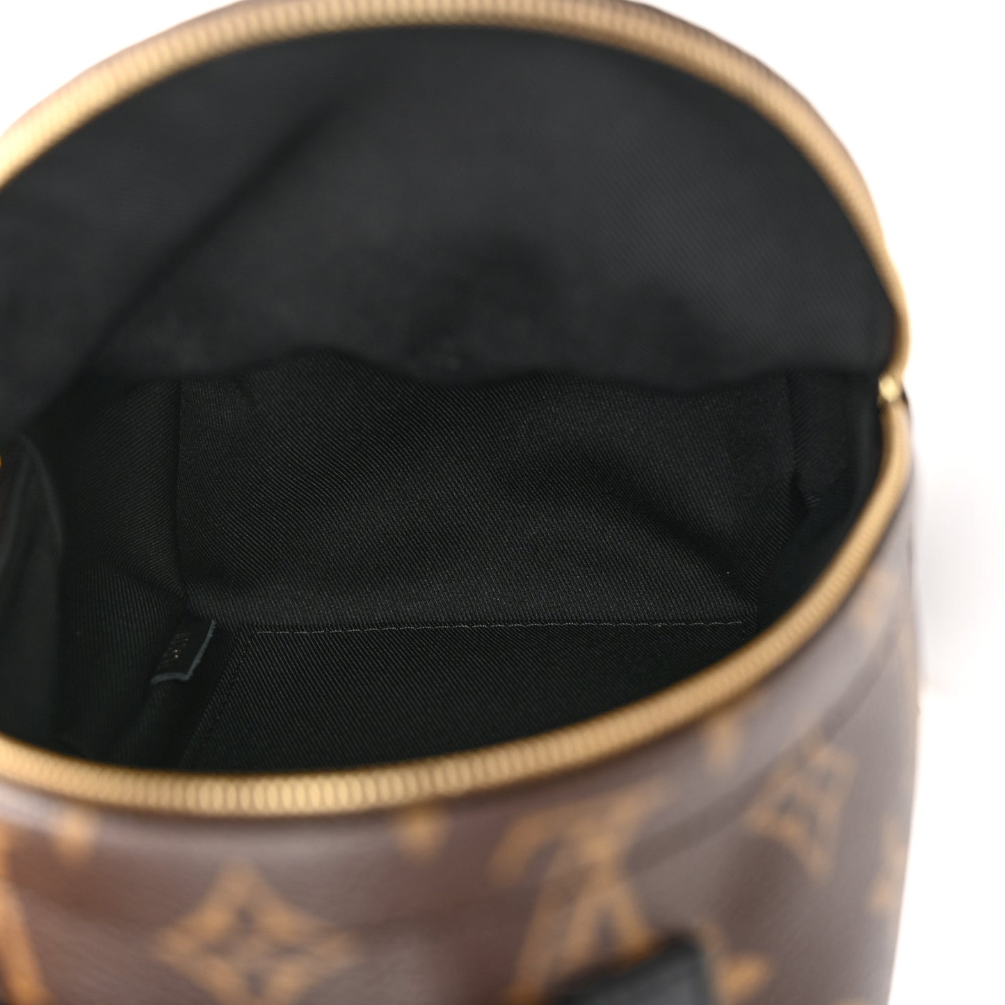Monogram Palm Springs Backpack Mini