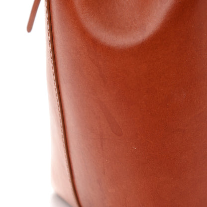 Mansur Gavriel Vegetable Tanned Calfskin Mini Bucket Bag Camello 17 of 18