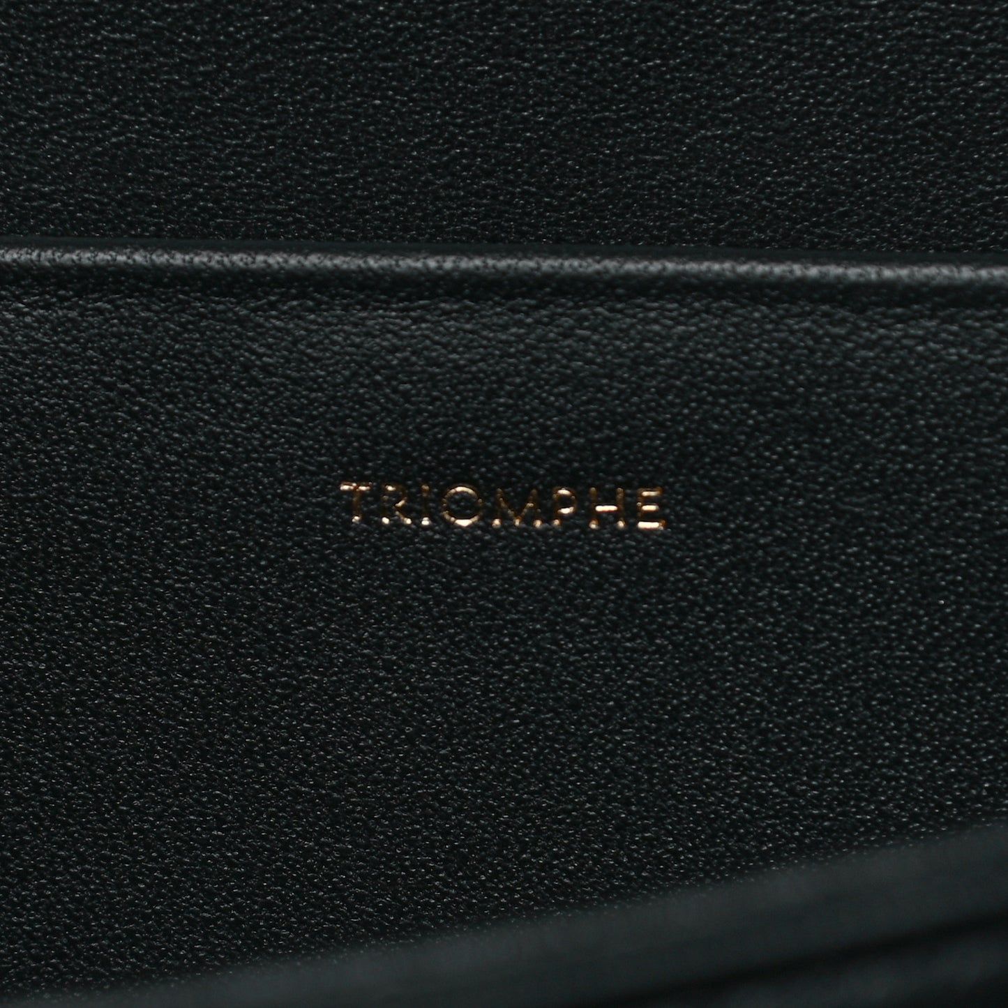 Shiny Calfskin Medium Triomphe Black