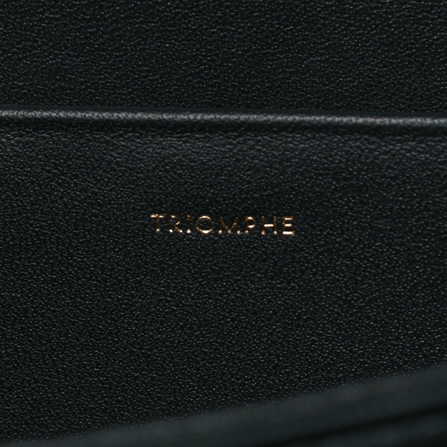 Celine Shiny Calfskin Medium Triomphe Black 6 of 10