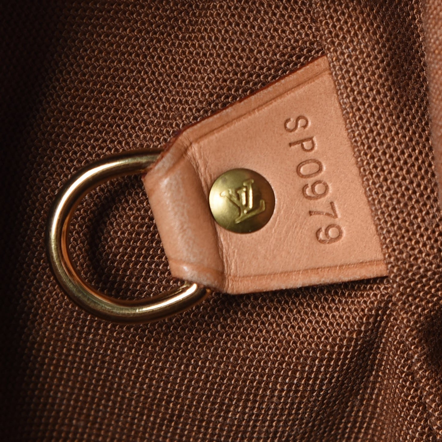 Monogram Montsouris GM Backpack