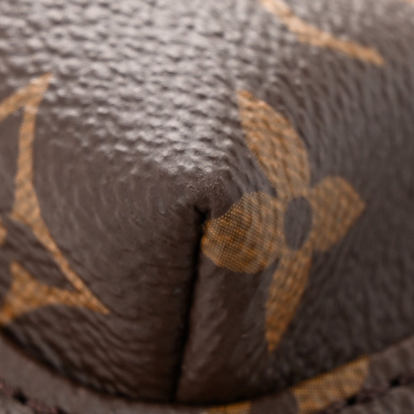 Monogram Palm Springs Backpack Mini