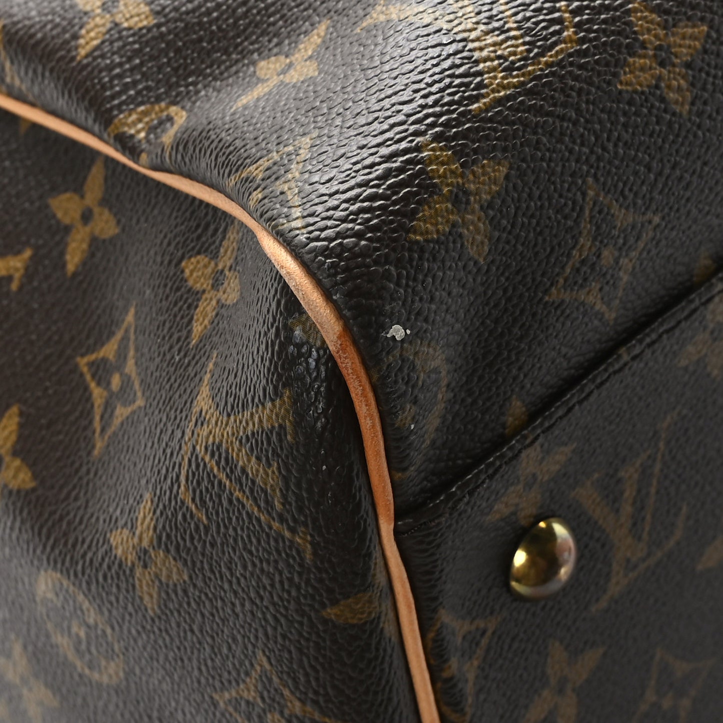 Monogram Carryall