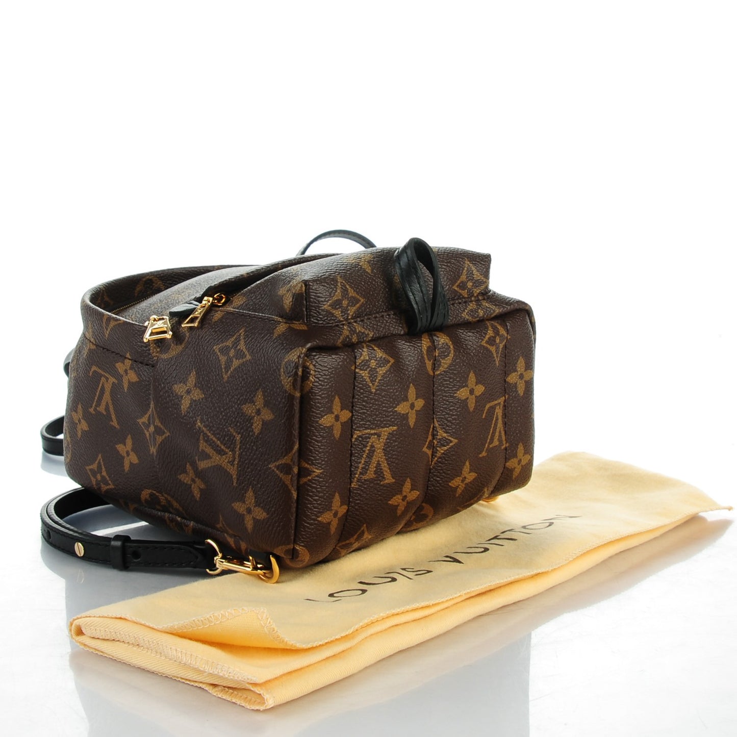 Monogram Palm Springs Backpack Mini