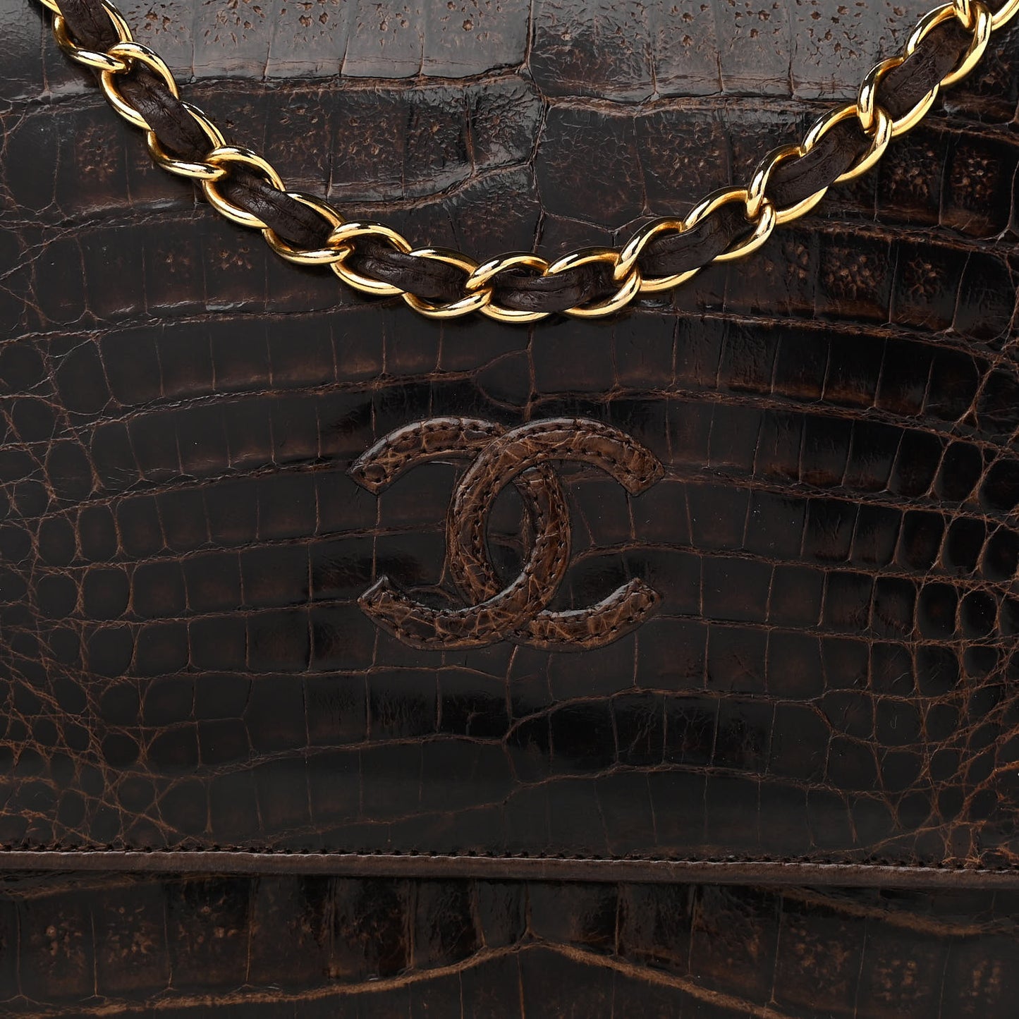 Alligator Small Single Flap Dark Brown