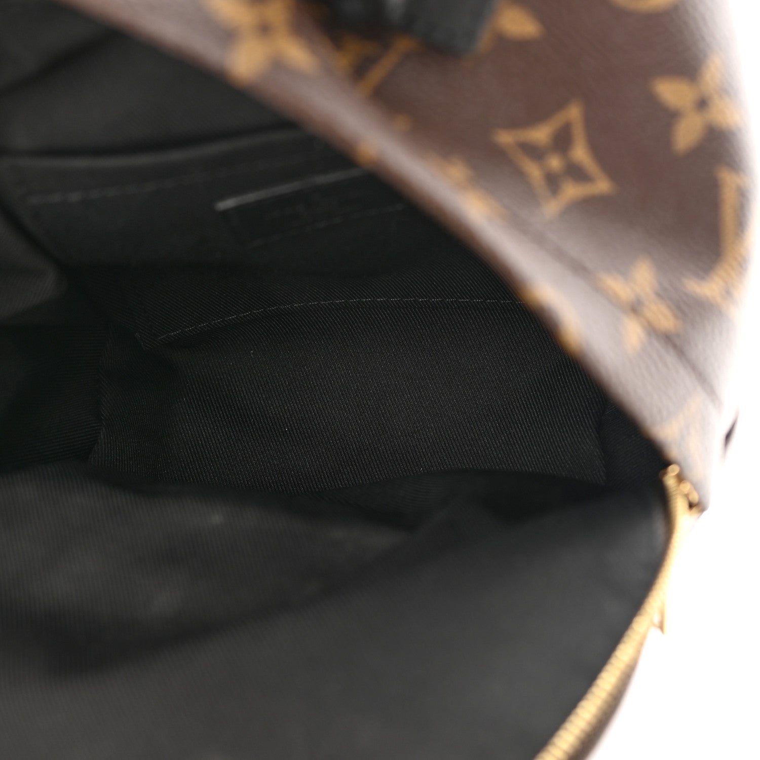 Louis Vuitton Monogram Palm Springs Backpack Mini 5 of 14