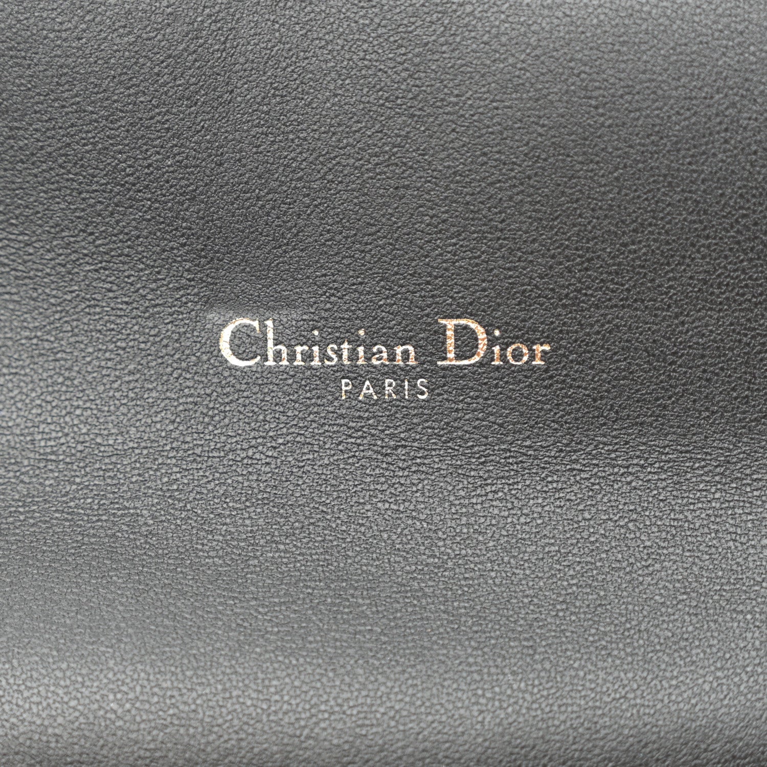 Christian Dior Goatskin Saddle Long Wallet With Chain Black 7 of 12