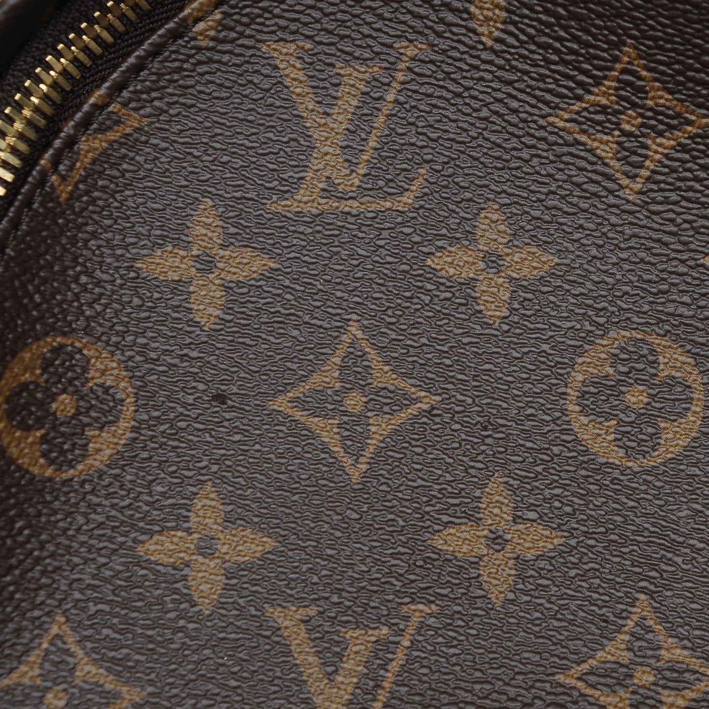 Monogram Palm Springs Backpack PM