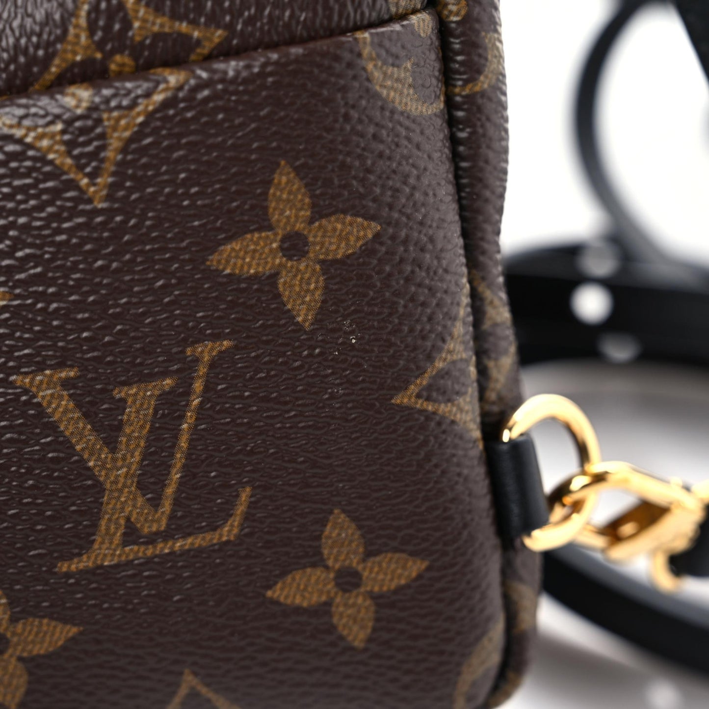 Monogram Palm Springs Backpack Mini