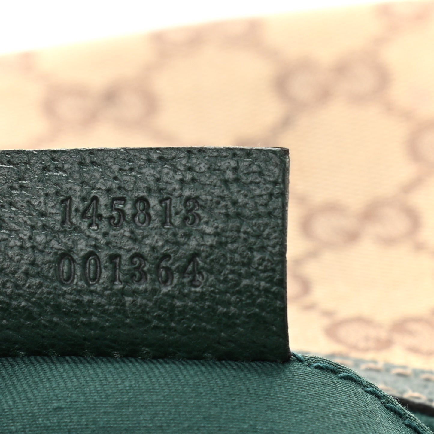 Monogram Web Mini Pop Hobo Green