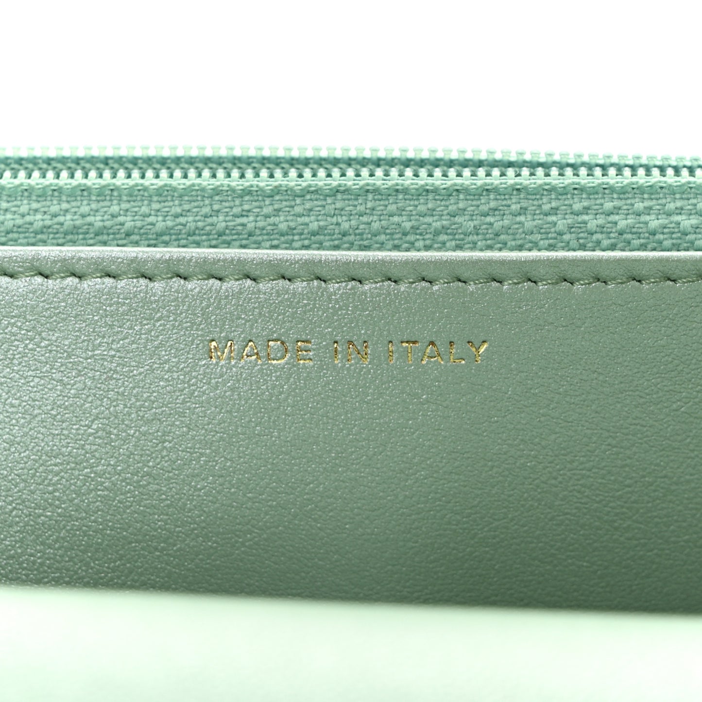 Shiny Lambskin Quilted Chanel 19 Wallet On Chain WOC Light Green