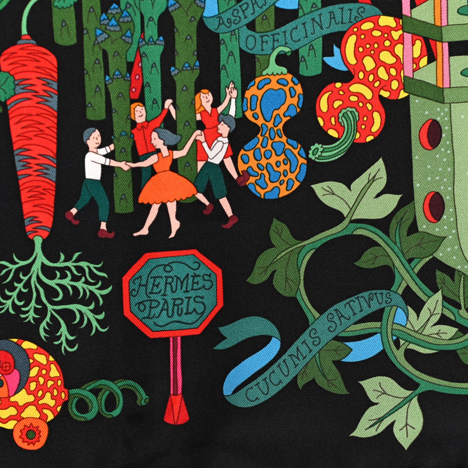 Hermes Silk Le Potager Extraordinaire Scarf 90 Black Rouge Vert