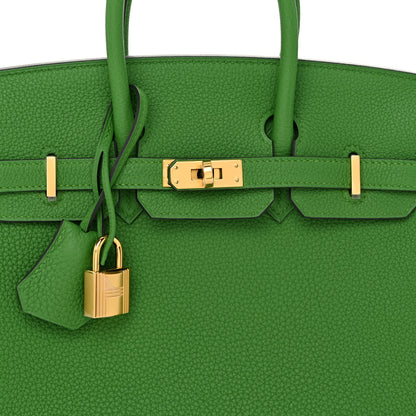 Hermes Togo Birkin 25 Vert Yucca 7 of 12