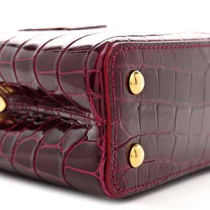Louis Vuitton Crocodile Mini Capucines  Bordeaux 8 of 10