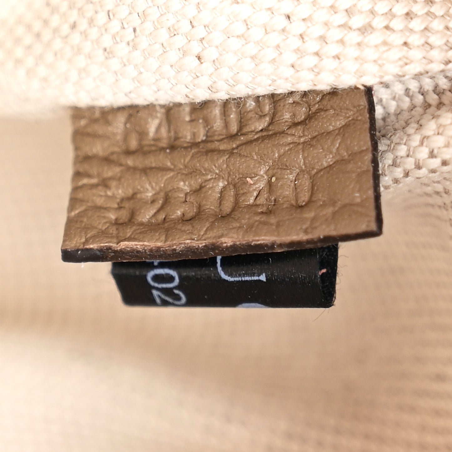 Piuma Calfskin Jumbo GG Embossed Pocket Belt Bag Good Taupe