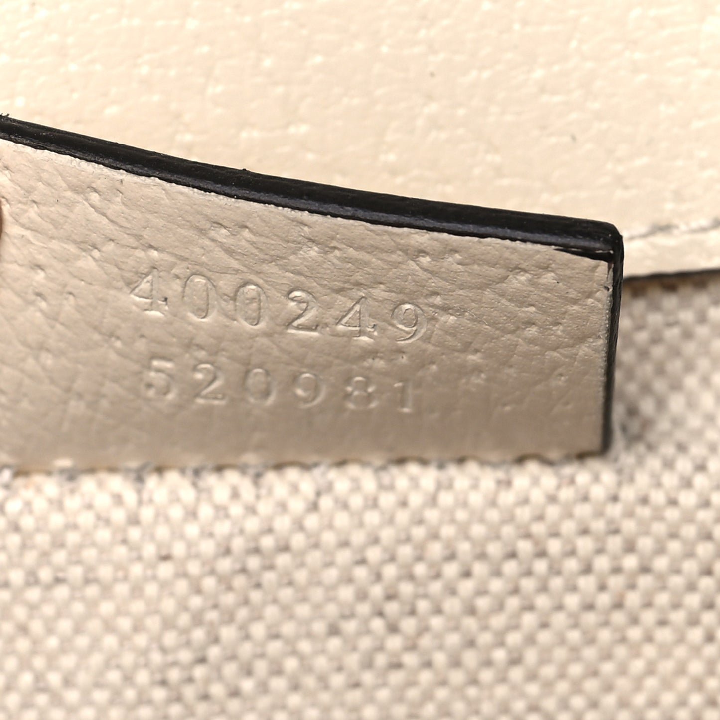 Textured Calfskin Crystal Small Dionysus Shoulder Bag Mystic White