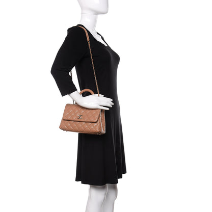 Chanel Caviar Quilted Mini Coco Handle Flap Brown 2 of 10