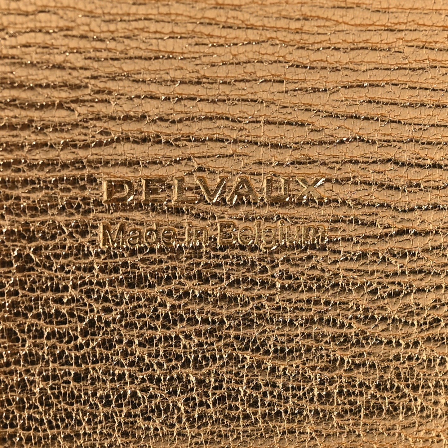 Metallic Rodeo Calfskin Brillant Wallet On Chain Satin Gold