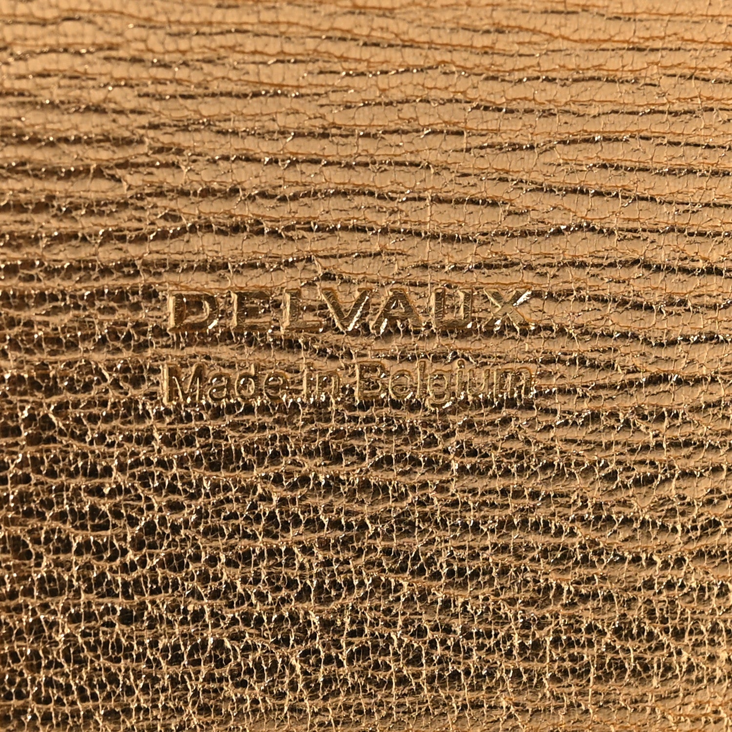 Delvaux Metallic Rodeo Calfskin Brillant Wallet On Chain Satin Gold 6 of 9