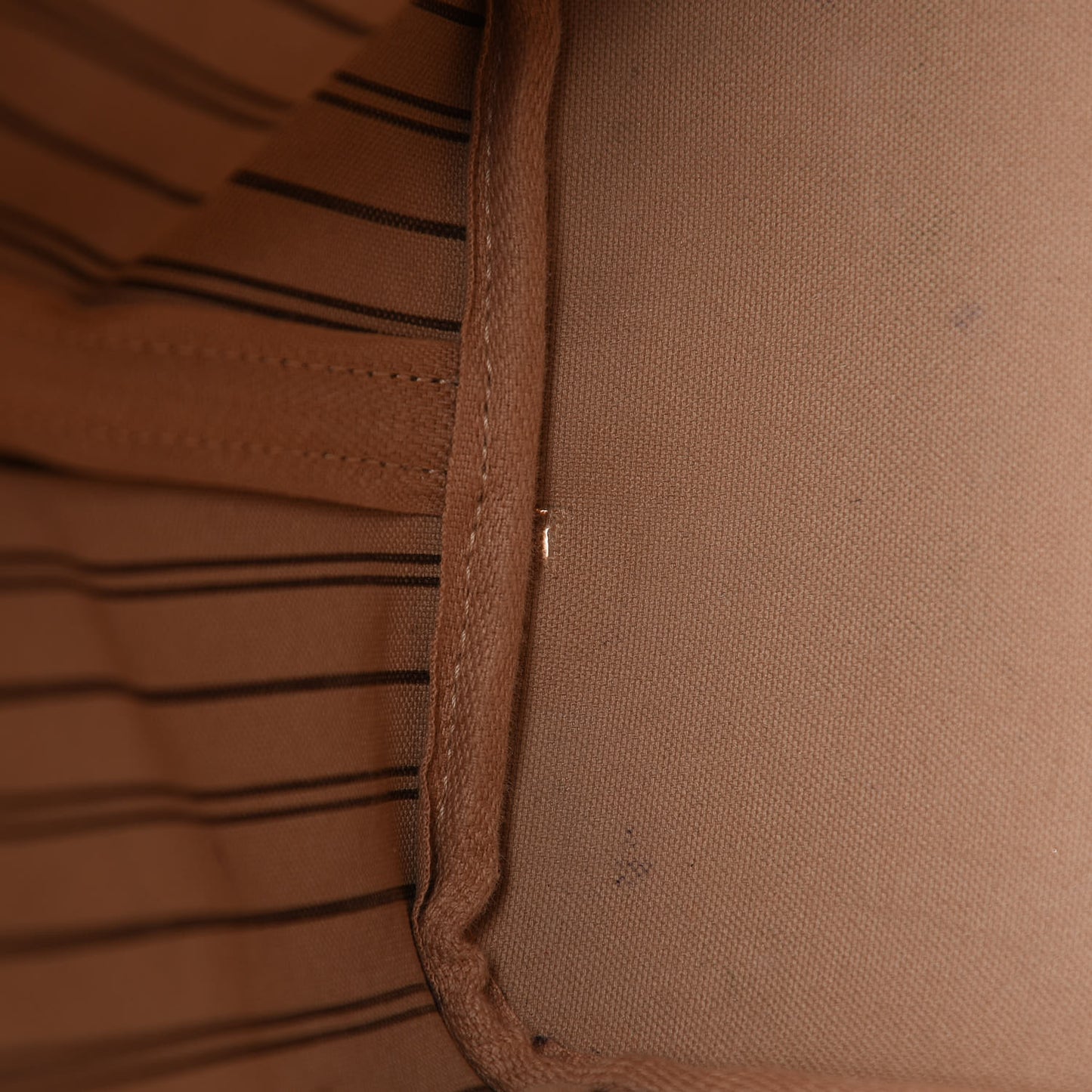 Monogram Neo Neverfull MM