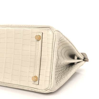 Hermes Matte Alligator Birkin 25 Beton 10 of 12