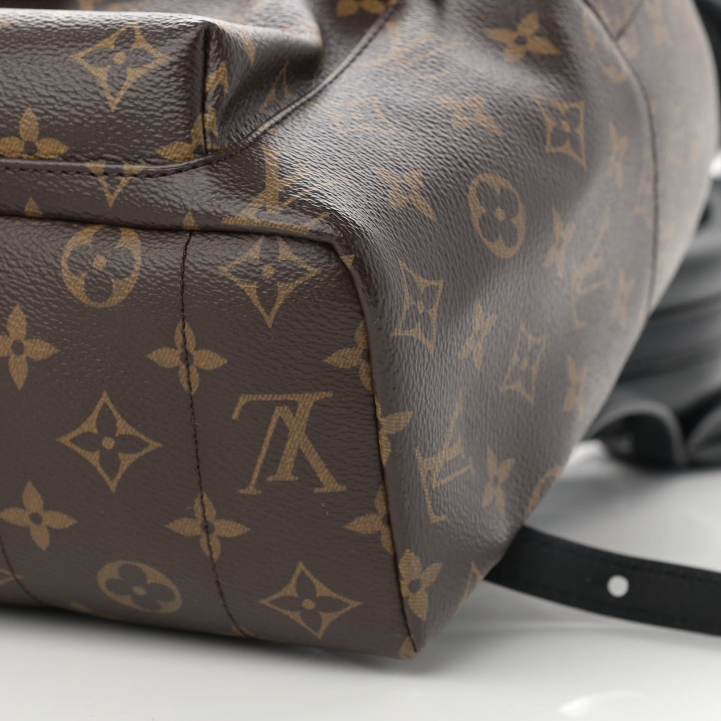 Monogram Palm Springs Backpack MM