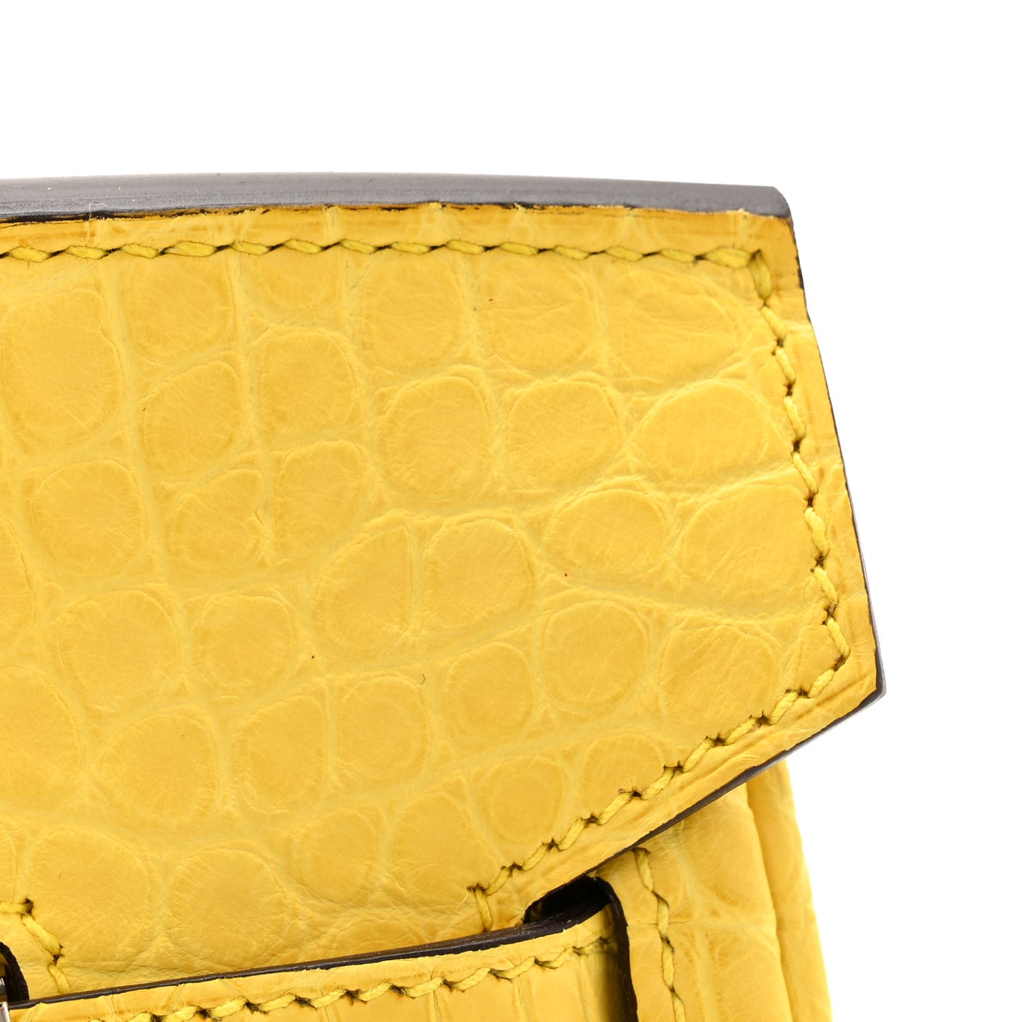 Matte Alligator Birkin 25 Mimosa