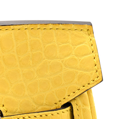 Hermes Matte Alligator Birkin 25 Mimosa 11 of 13