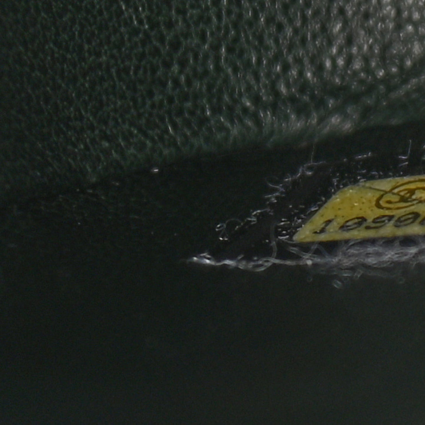 Alligator Jumbo Single Flap Green