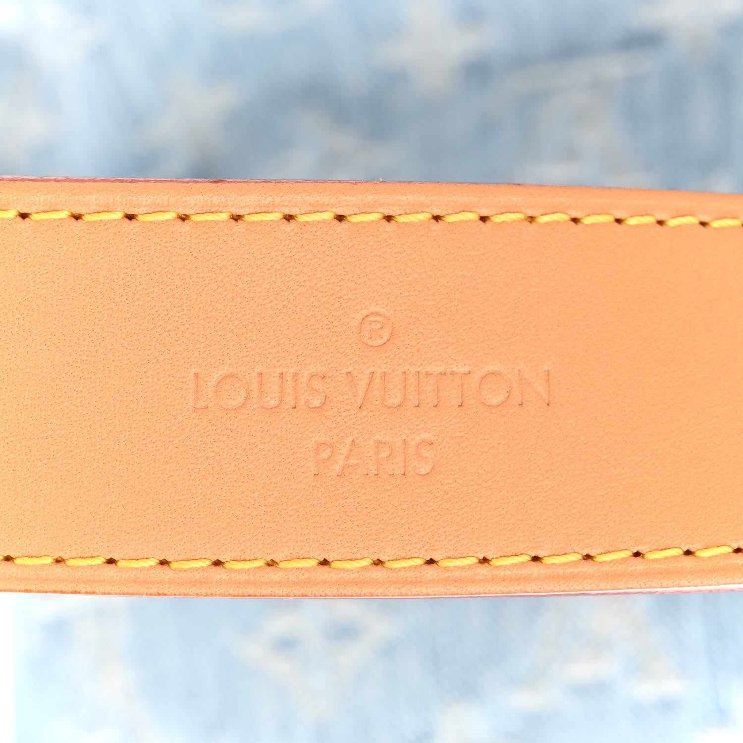 Louis Vuitton Monogram Denim CarryAll PM Sky Blue 7 of 12