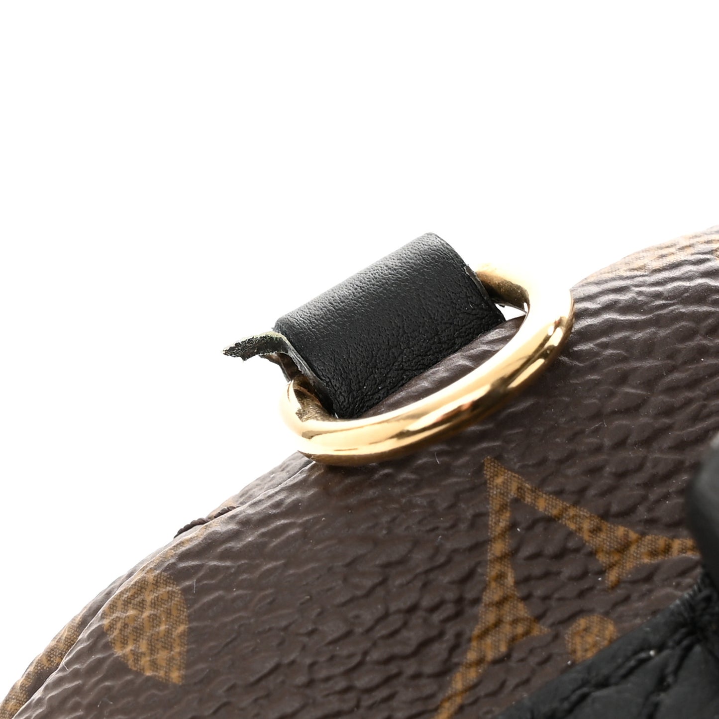 Monogram Palm Springs Backpack Mini