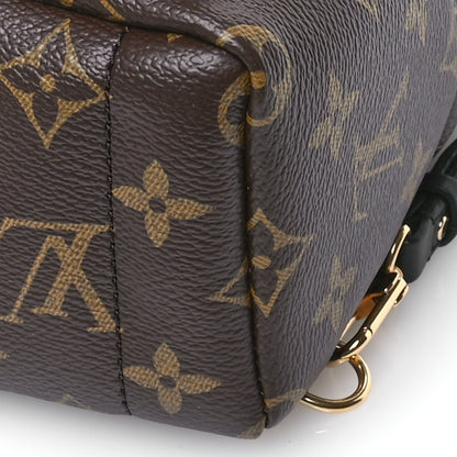Louis Vuitton Monogram Palm Springs Backpack Mini 9 of 9