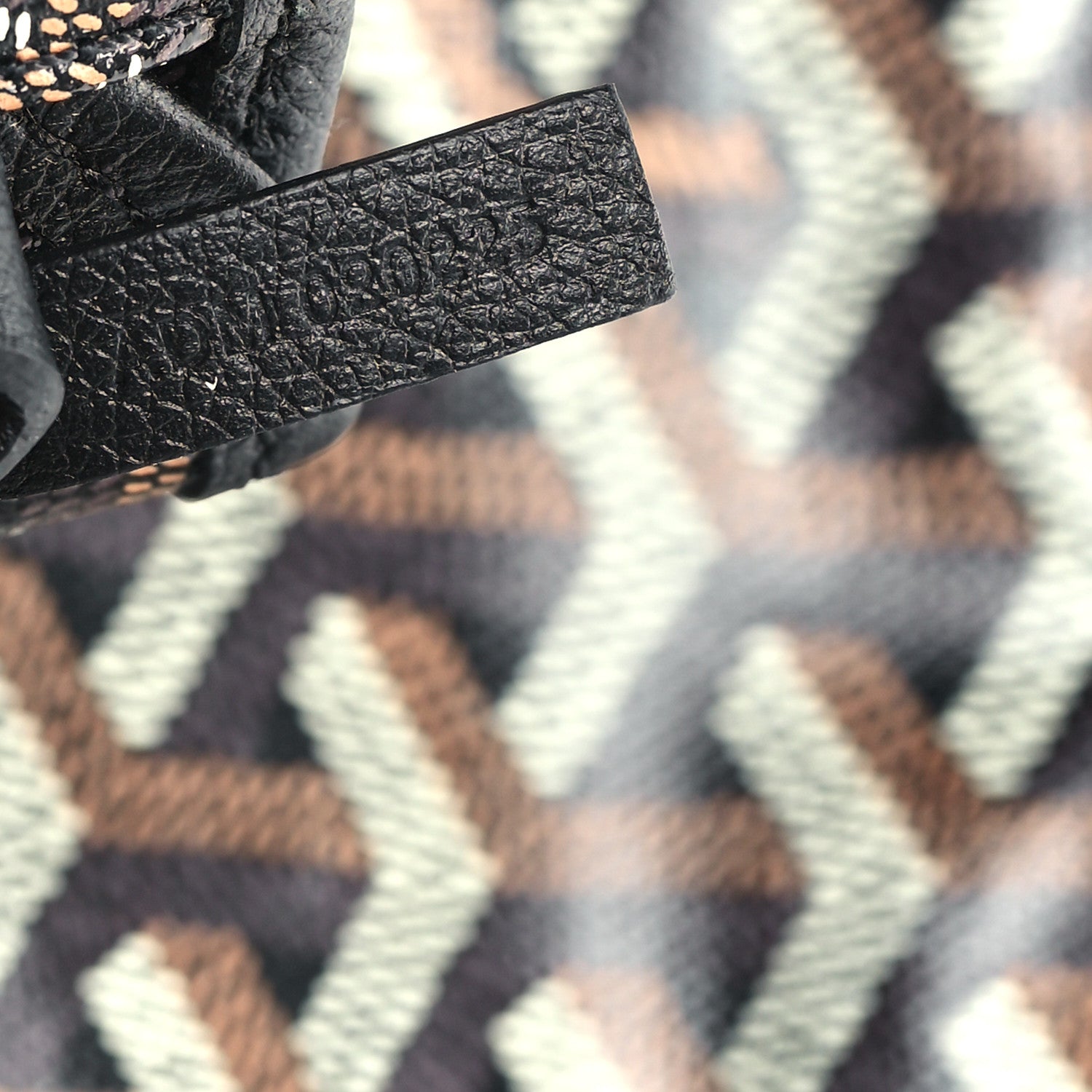 Goyard Goyardine Saint Louis PM Black 8 of 11