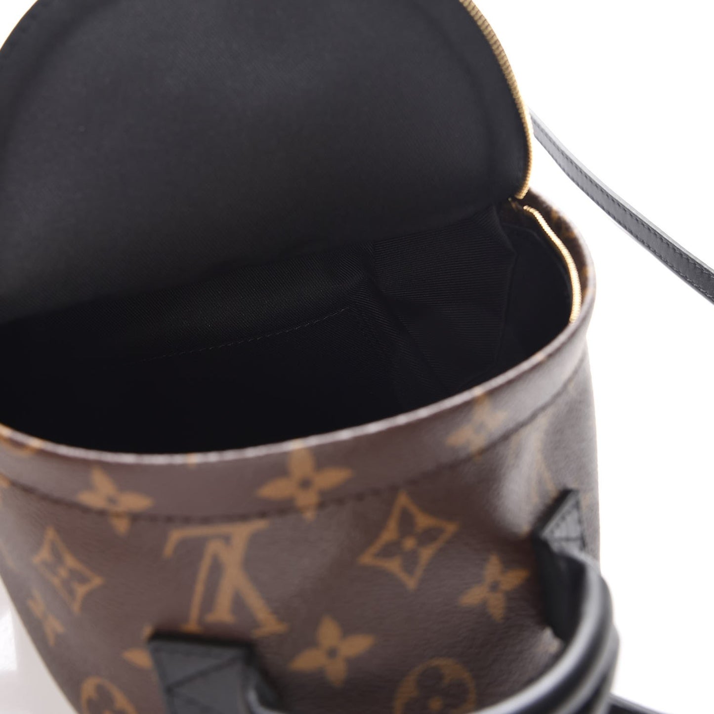 Monogram Palm Springs Backpack Mini