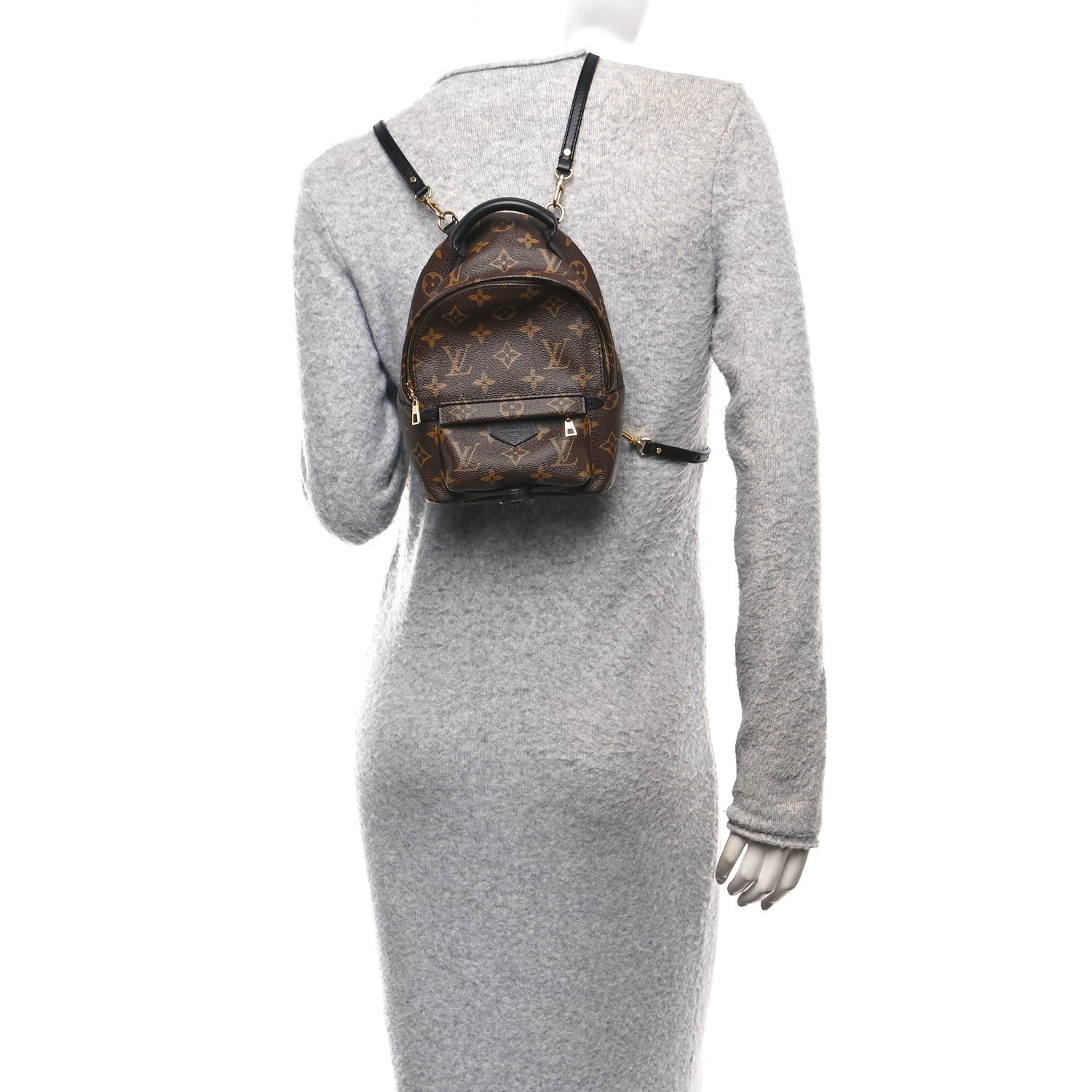 Louis Vuitton Monogram Palm Springs Backpack Mini 2 of 10