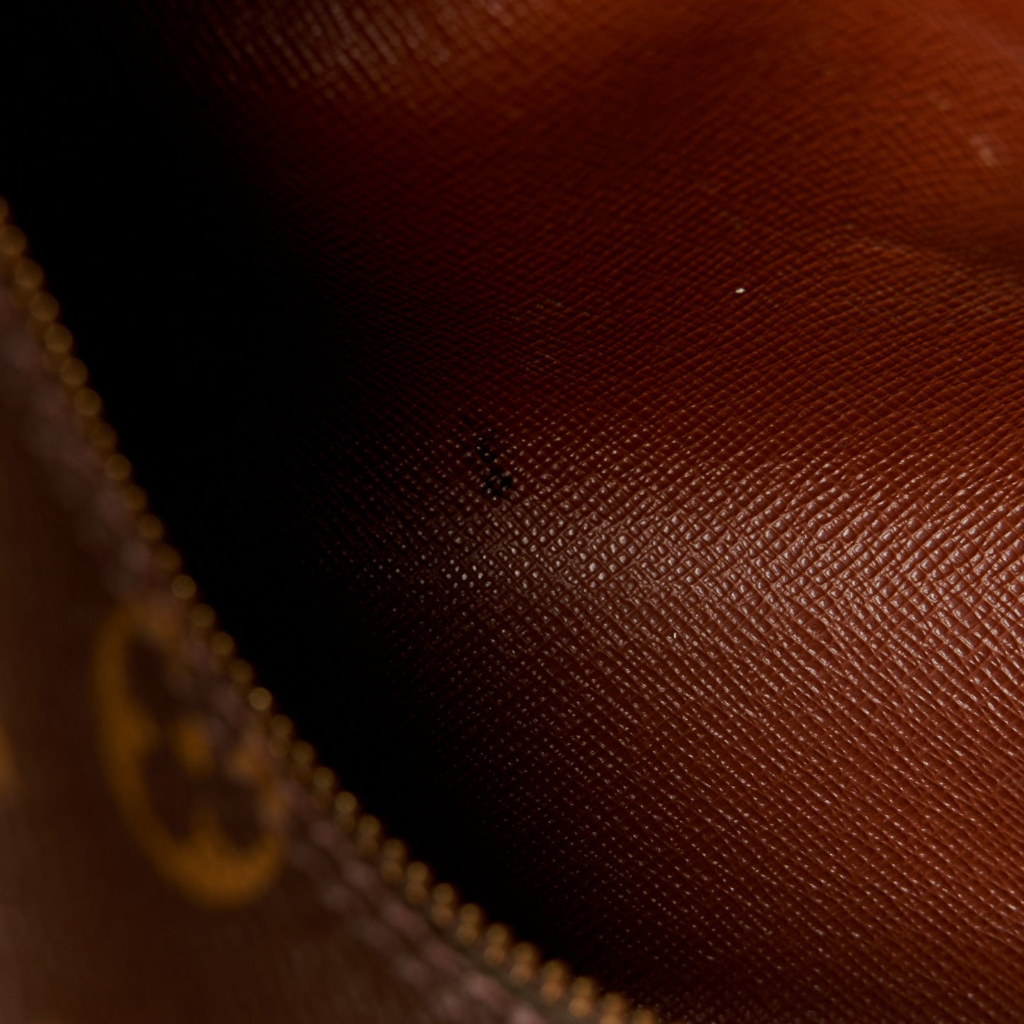 Monogram Papillon 26